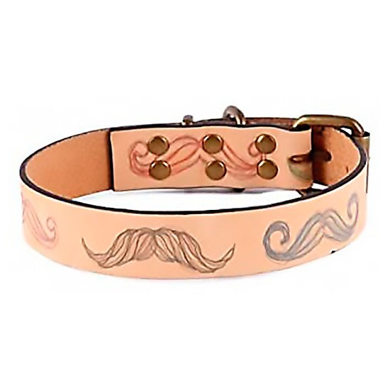 Ubrique collar diseño moustache talla s 18 x 26 x 1.7 cm