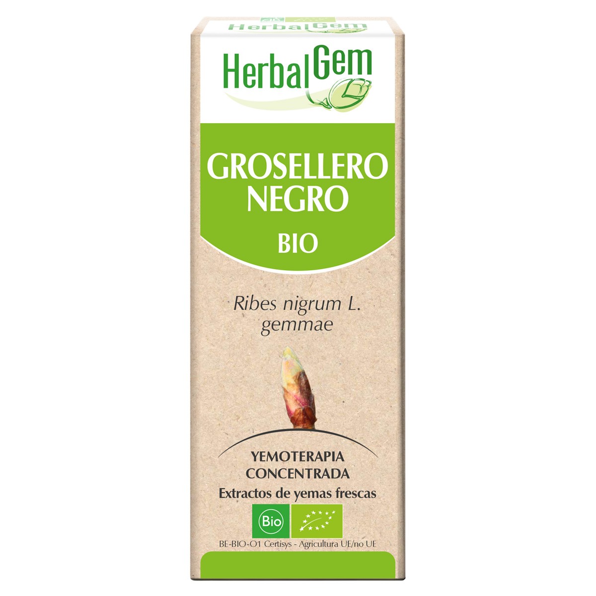 Herbalgem  grosellero negro bio 15ml